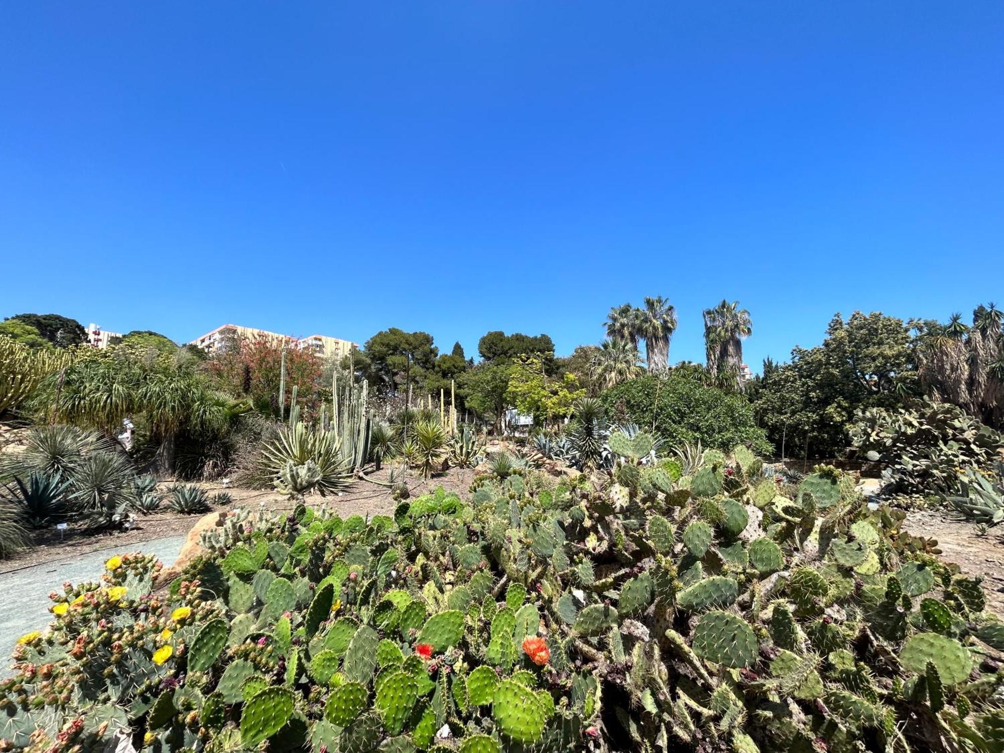 Acogedor Apartamento En Benalmadena Vistas Eksteriør billede